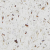 Alaskan Stone